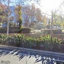Pacific Oral & Maxilofcial Surgery, dentists office located at 26732 Crown Valley Pkwy #531, Mission Viejo, CA.