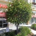 Dental Health Group, dentists office located at 7950 Gall Blvd, Zephyrhills, FL.