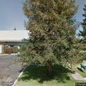 Sweet Tooth Family Dentistry, dentists office located at 1990 Shaw Ave, Clovis, CA.