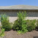 Parkside Dental Care, dentists office located at 1515 W Glen Park Ave, Griffith, IN.
