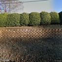 Elevated Dentistry, dentists office located at 240 Hydraulic Ridge Rd, Charlottesville, VA.