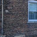 Family Dental Clinic, dentists office located at 1952 E 73rd St, Chicago, IL.