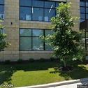 PV Dental, dentists office located at 7501 Mission Rd, Prairie Village, KS.